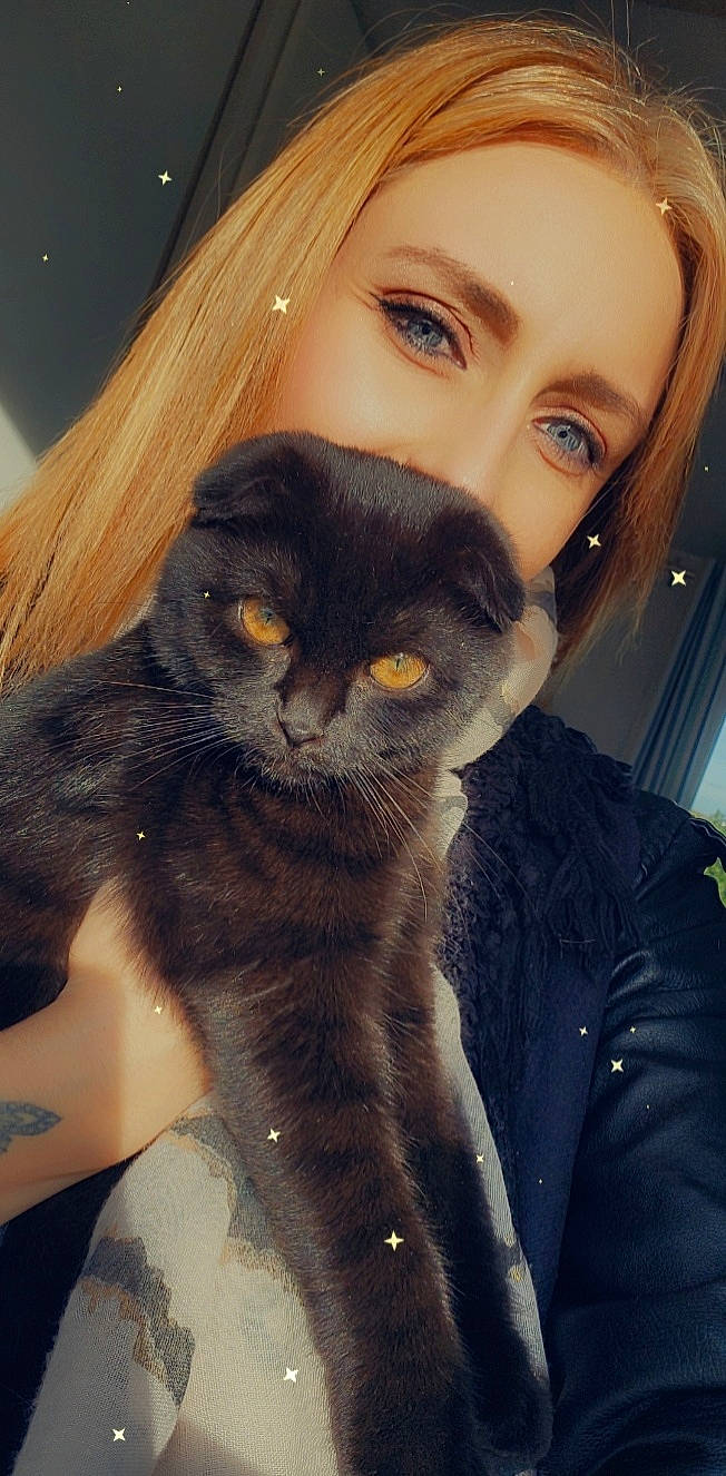 P'Tibo participe au concours pour gagner de l'argent avec cette photo : beard, carnivore, cat, comfort, domestic_short_haired_cat, eye, eyelash, fawn, felidae, fur, hair, iris, nose, selfie, small_to_medium_sized_cats, snout, sunglasses, tail, whiskers