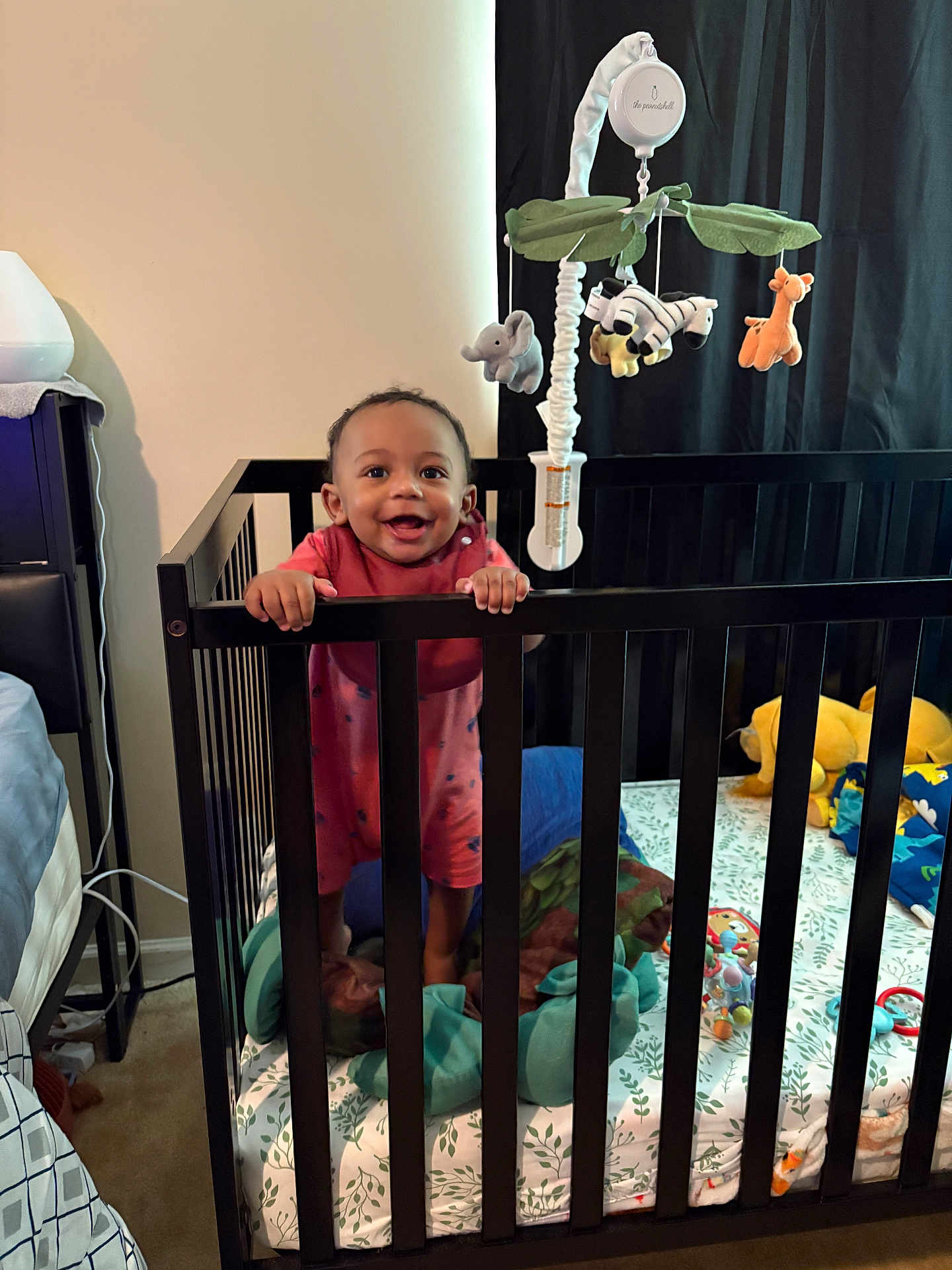 Zaeden