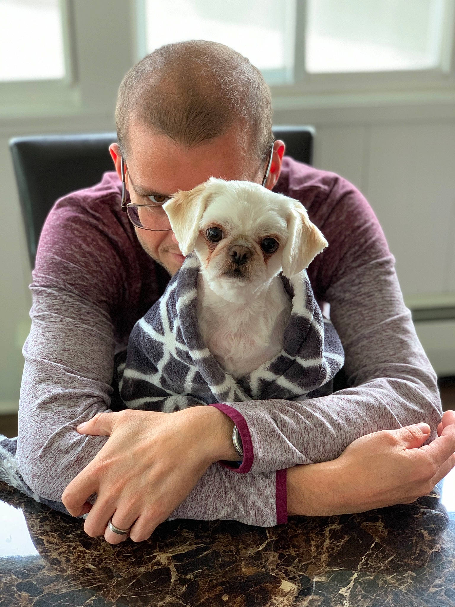 Crystal is registered to the contest to win money with this photo: canidae, carnivore, comfort, companion_dog, dog, dog_breed, dog_supply, ear, eyewear, fawn, fur, lap, pet_supply, sitting, snout, sporting_group, sunglasses, toy_dog, window, working_animal