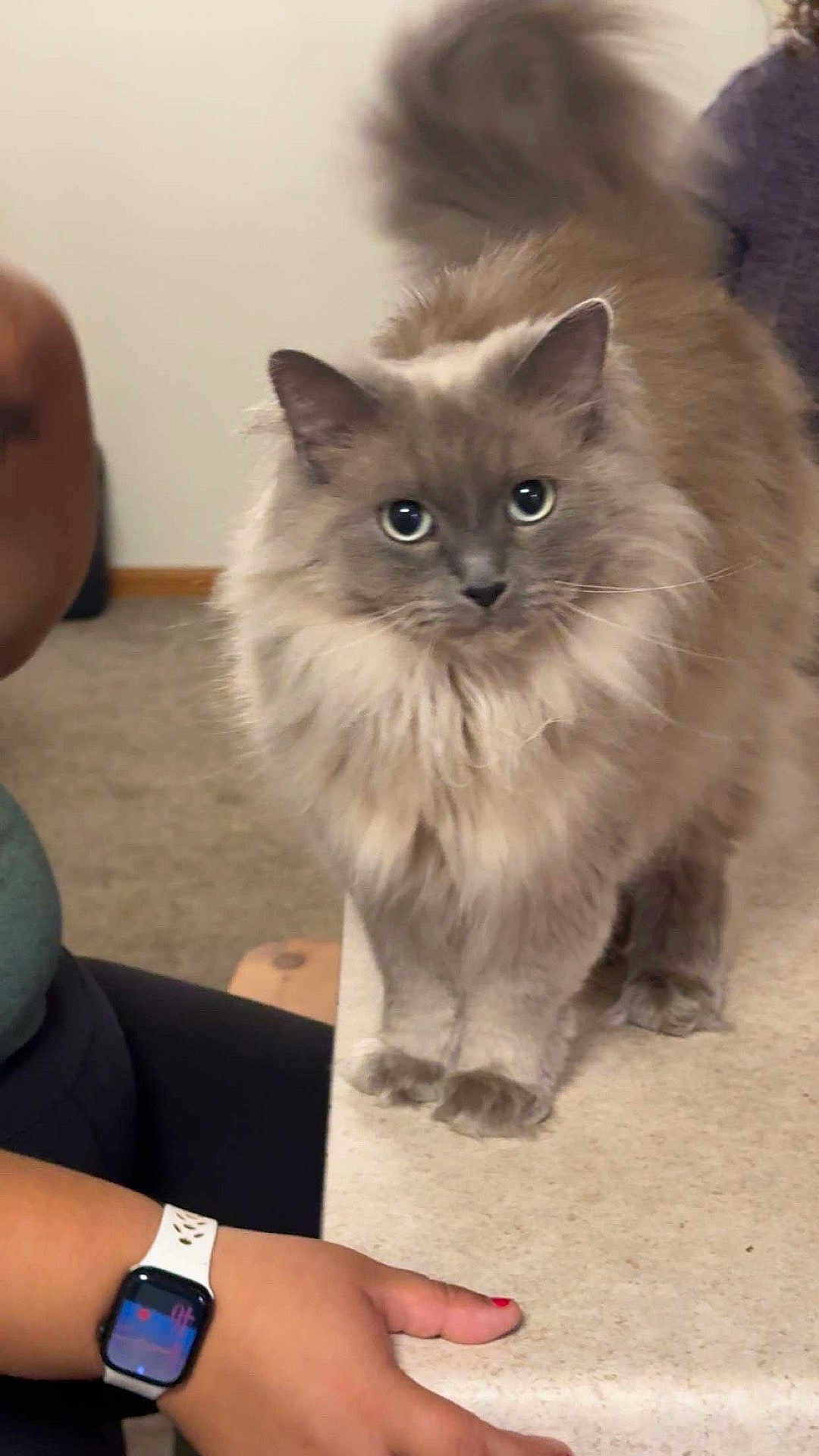 Smokey