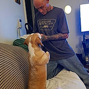 Bella joined the competition — help win amazing prizes! man, dog, living_room, couch, blanket, tattooed_arm, t_shirt, vans_logo, television, jeans, bald_head, pet_interaction, sitting, sofa, affectionate, home_interior, lamp, patterned_fabric, remote_control, window