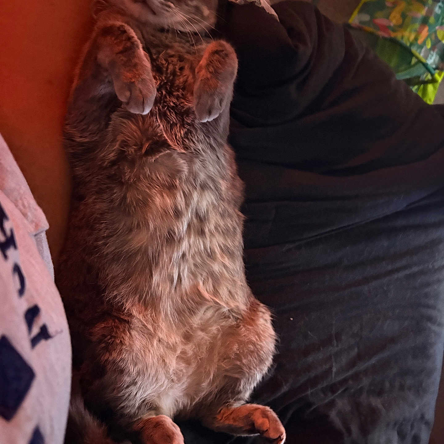 Hugo