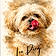 Loo Ping