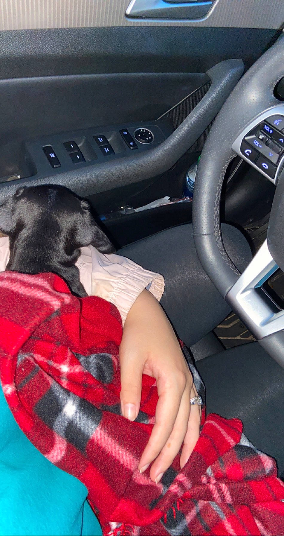 Hoosier joined the competition — help win amazing prizes! auto_part, car, car_seat, car_seat_cover, driving, seat_belt, steering_part, steering_wheel, vehicle, vehicle_door