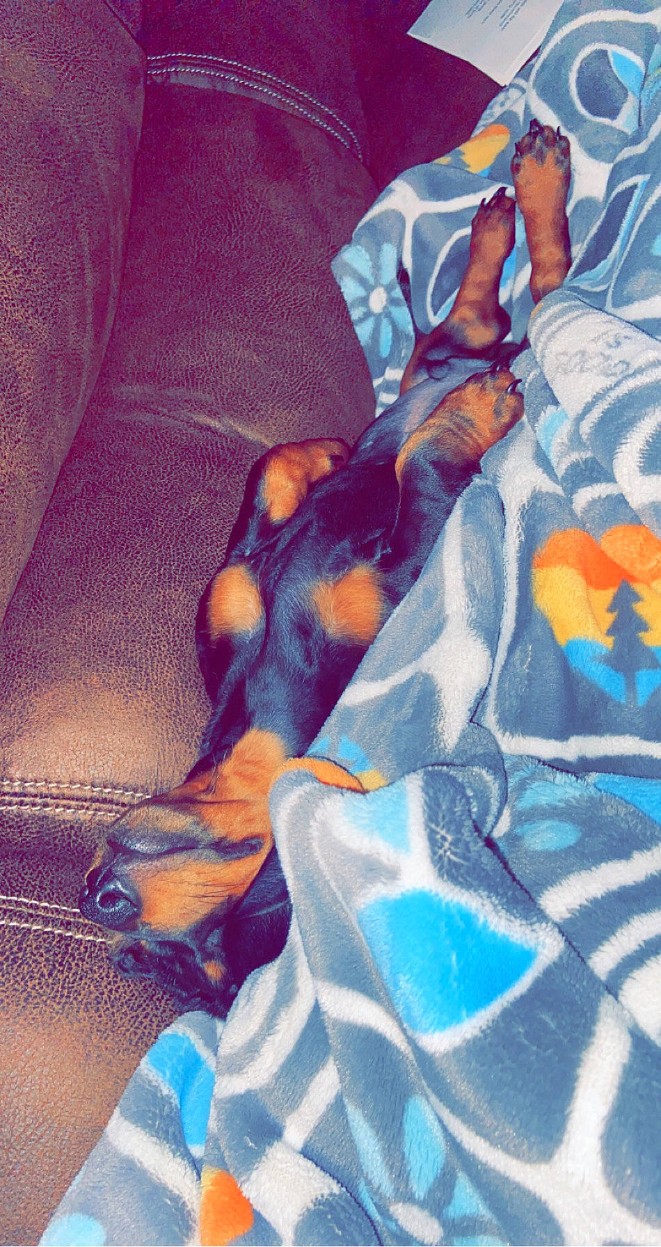 Hoosier joined the competition — help win amazing prizes! art, blue, cg_artwork, illustration, painting, photography, visual_arts