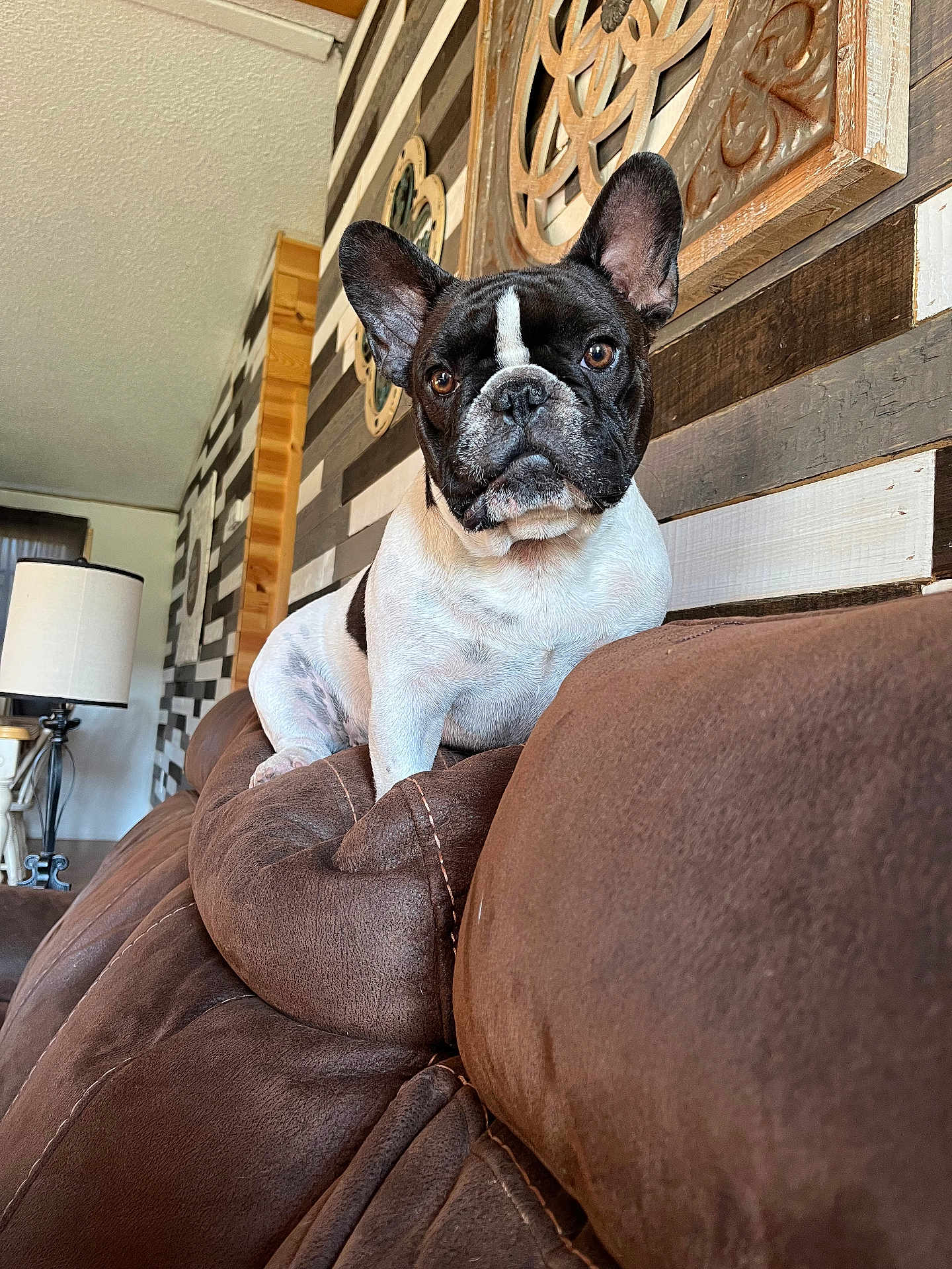 Franky