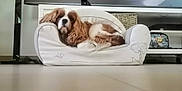 Pee-Wee participe au concours pour gagner de l'argent avec cette photo : dog, sofa, living_room, television, cartoon, animation, pet, furniture, floor, relaxing, cozy, brown_and_white, small_sofa, home, indoor, decor, basket, electronics, cable, funny