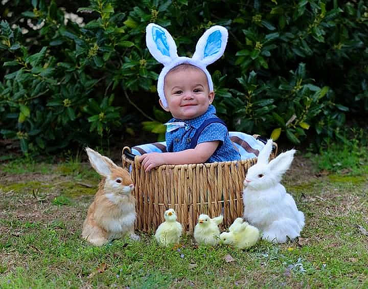 Alizah is registered to the contest to win money with this photo: domestic_rabbit, easter, grass, joy, person, rabbit, rabits_and_hares