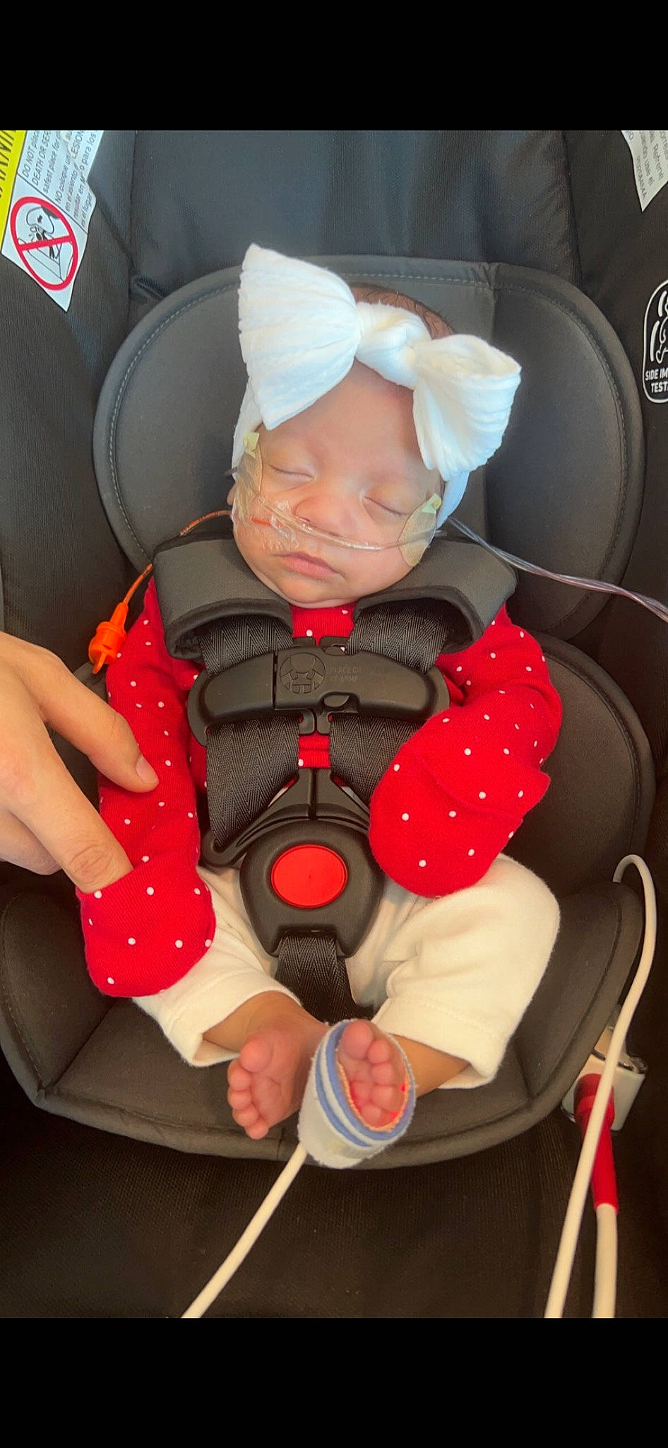 Liliana joined the competition — help win amazing prizes! auto_part, baby, baby_carriage, baby_in_car_seat, baby_products, baby_safety, baby_sleeping, baby_toddler_clothing, car_seat, carmine, child, comfort, knee, lap, person, personal_protective_equipment, seat_belt, sitting, thigh, thumb