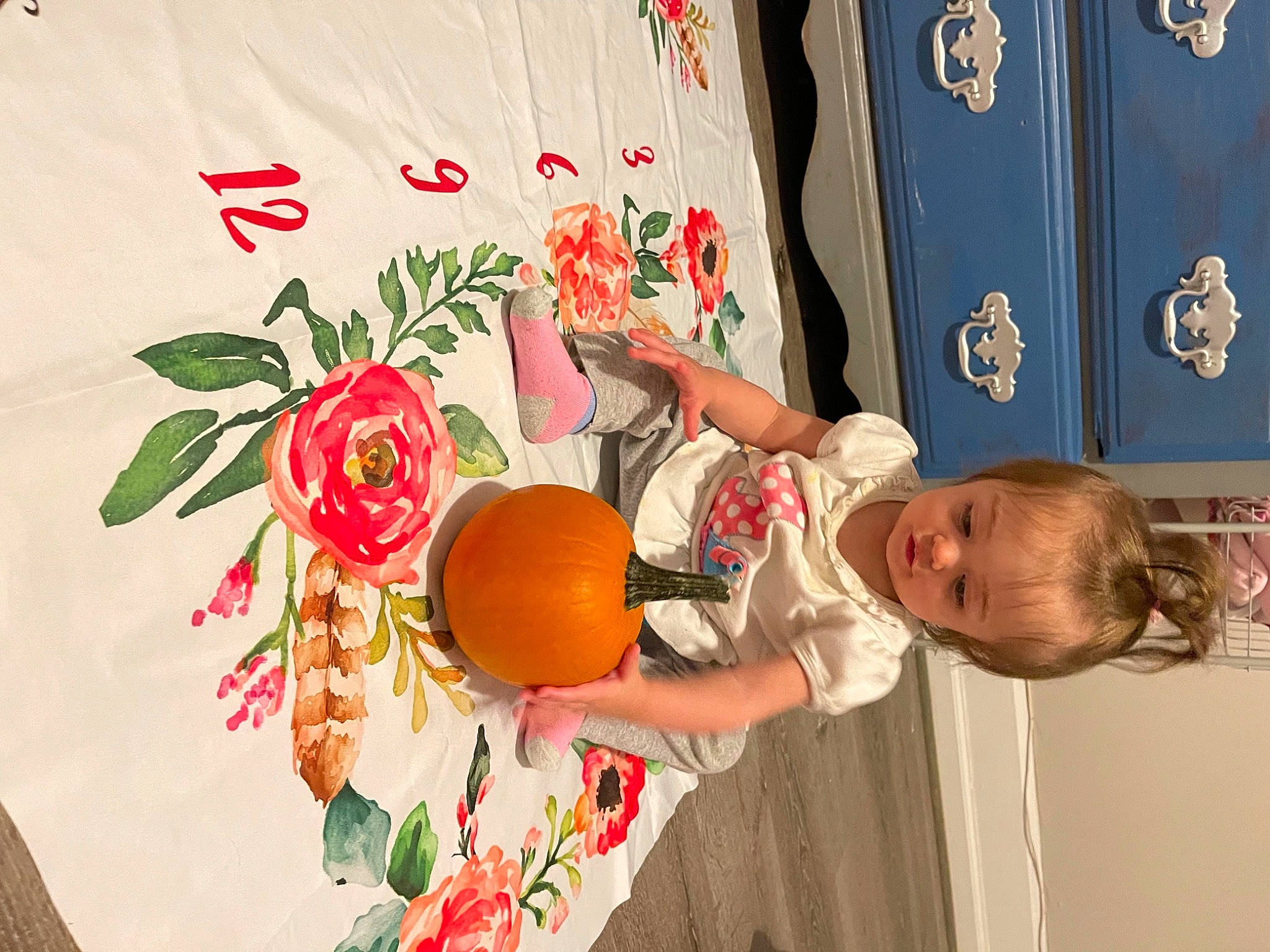 Alyssa joined the competition — help win amazing prizes! balloon, event, floral_design, flower, flower_arranging, fruit, hand, happy, hat, house, local_food, natural_foods, orange, peach, person, petal, plant, red, rose, rose_family