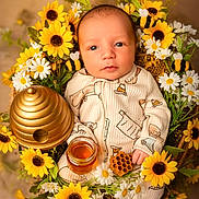 Jeremy joined the competition — help win amazing prizes! newborn, baby, sunflower, daisy, flower_wreath, honey, bee, honeycomb, onesie, infant, portrait, cute, nature, props, yellow, white, greenery, soft_lighting, baby_clothing, still_life