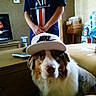 Newton participe au concours pour gagner de l'argent avec cette photo : boy, cardboard_boxes, casual, clothing, couch, dog, furniture, hat, headwear, indoor, living_room, nike, person, pet, portrait, psg_jersey, remote_control, table, television, wall