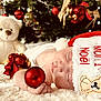Hannah a rejoint le concours — aidez-le/la à gagner de superbes lots ! baby, sleeping, santa_hat, christmas_ornament, holiday, plush_toy, teddy_bear, christmas_tree, decorations, red, white, soft_texture, close_up, festive, cute, infant, hand, face, holiday_season, cozy