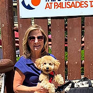 Michael Mello joined the competition — help win amazing prizes! woman, dog, small_dog, pet, portrait, outdoor, sunlight, bench, sunglasses, blue_dress, fluffy_fur, sitting, pet_carrier, wooden_fence, sign, live_event, smiling, leash, companion, daylight