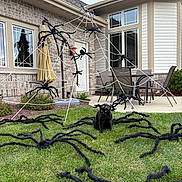 Ice Bear joined the competition — help win amazing prizes! animal, black_cat, costume, daytime, door, fake_spiders, funny, grass, halloween, house, lawn, outdoor_decorations, patio_chairs, patio_table, residential, spider_web, spooky, umbrella, windows, yard