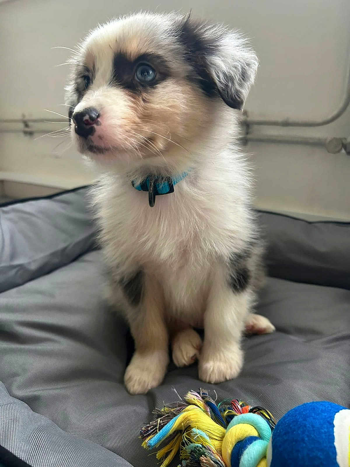 Milo