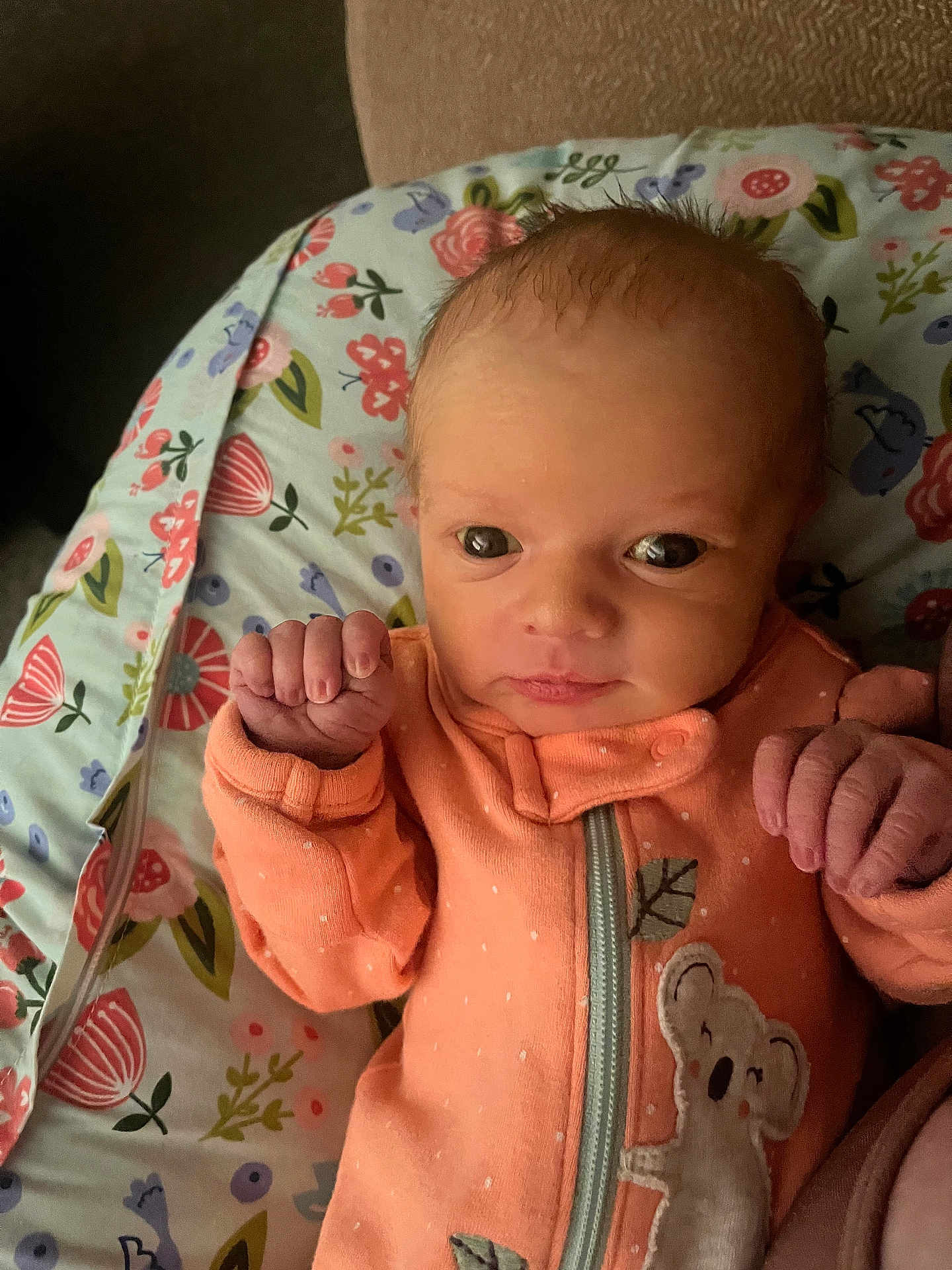 Everleigh is registered to the contest to win money with this photo: newborn, baby, infant, onesie, koala, floral, cushion, pattern, sleepwear, small_hands, cute, portrait, indoors, child, face, expression, soft_lighting, closeup, resting, adorable