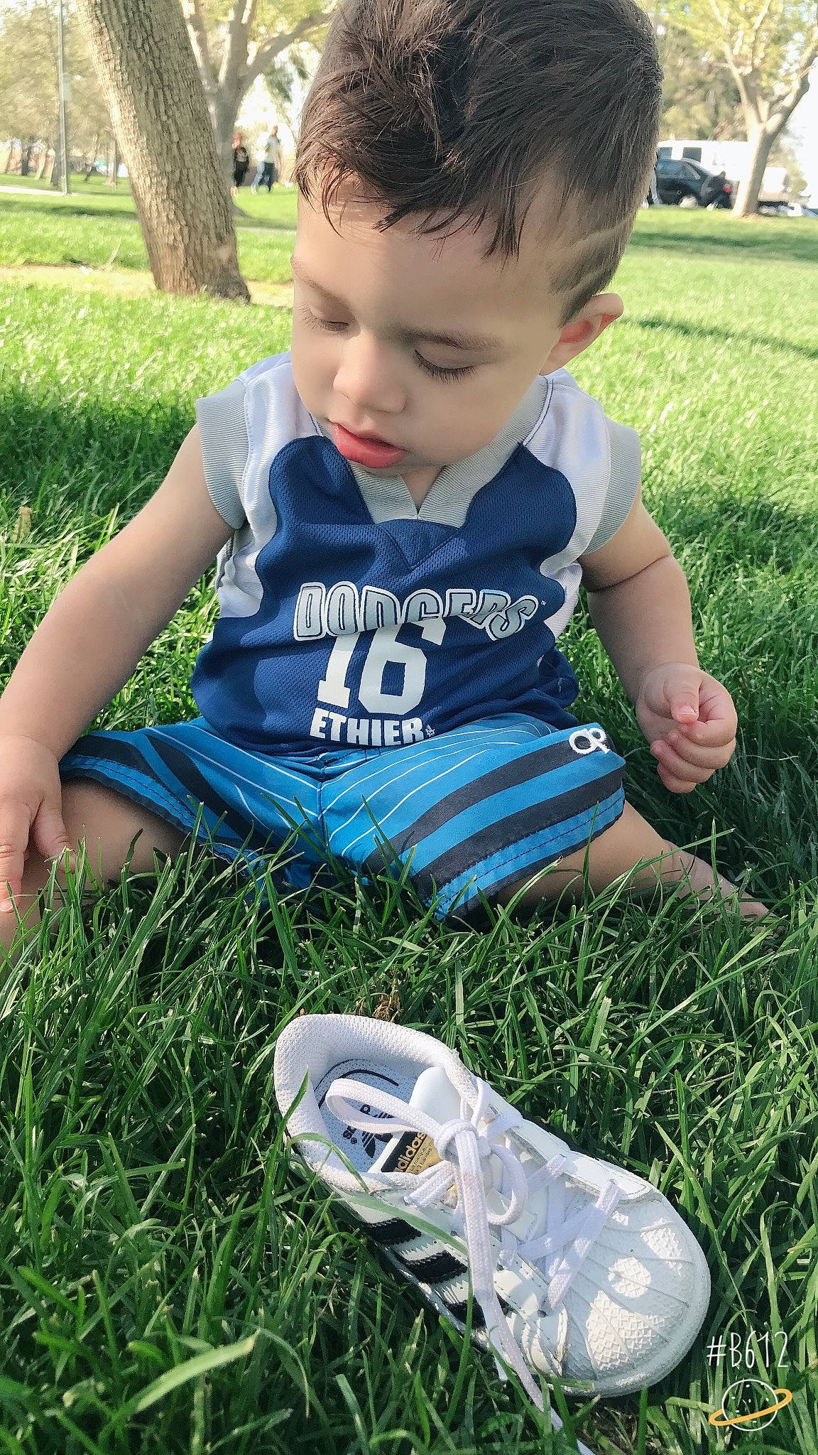 Joel is registered to the contest to win money with this photo: boy, child, fun, garden, grass, grass_family, green, infant, lawn, meadow, person, plant, play, product, smile, summer, toddler, tree