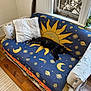 Delilah is registered to the contest to win money with this photo: cat, black_cat, couch, blanket, pillow, window, wooden_floor, indoor, sun_pattern, moon_pattern, star_pattern, plant, relaxing, furniture, cozy, resting, home, decor, animal, pet