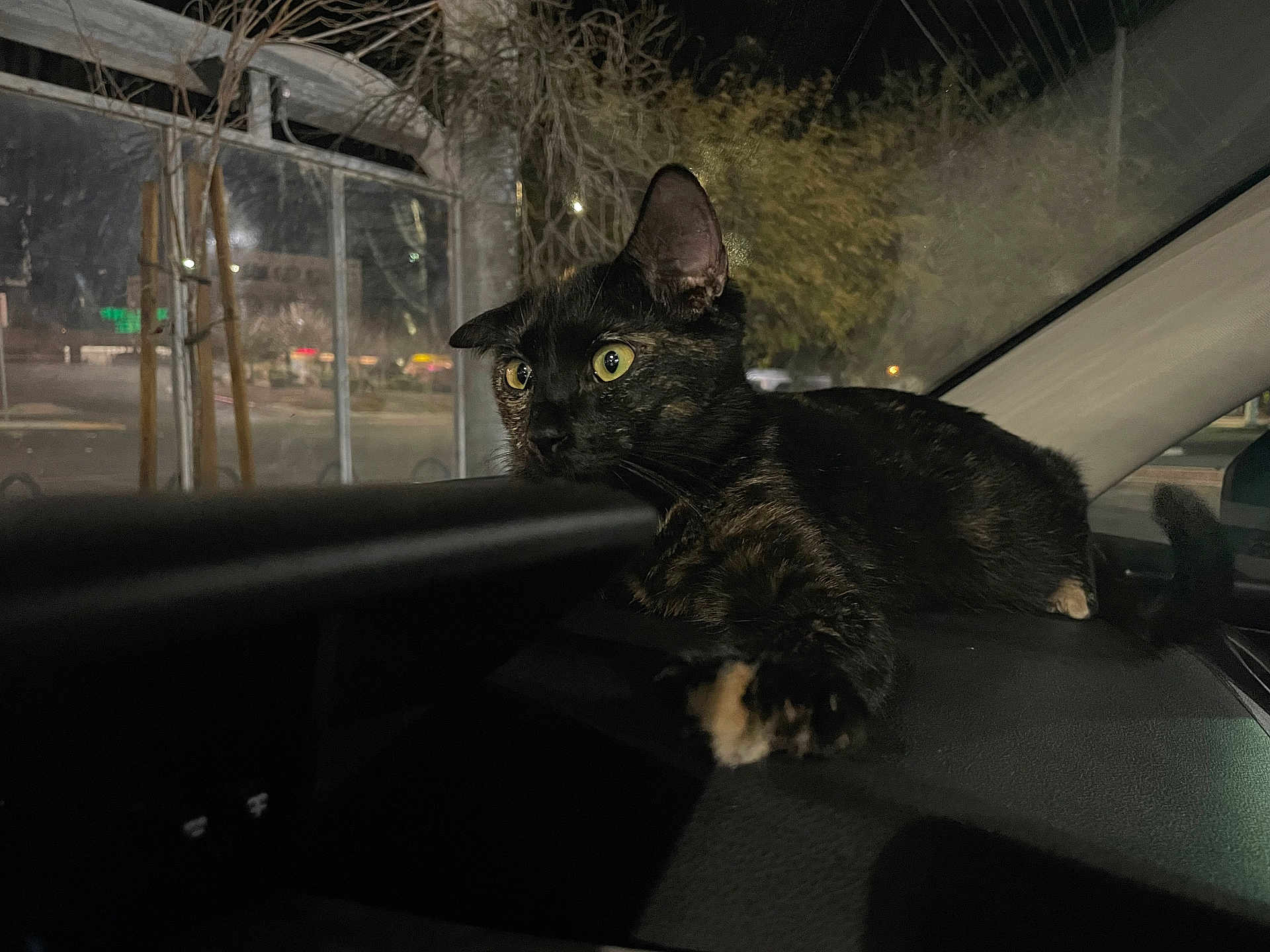 Delilah
