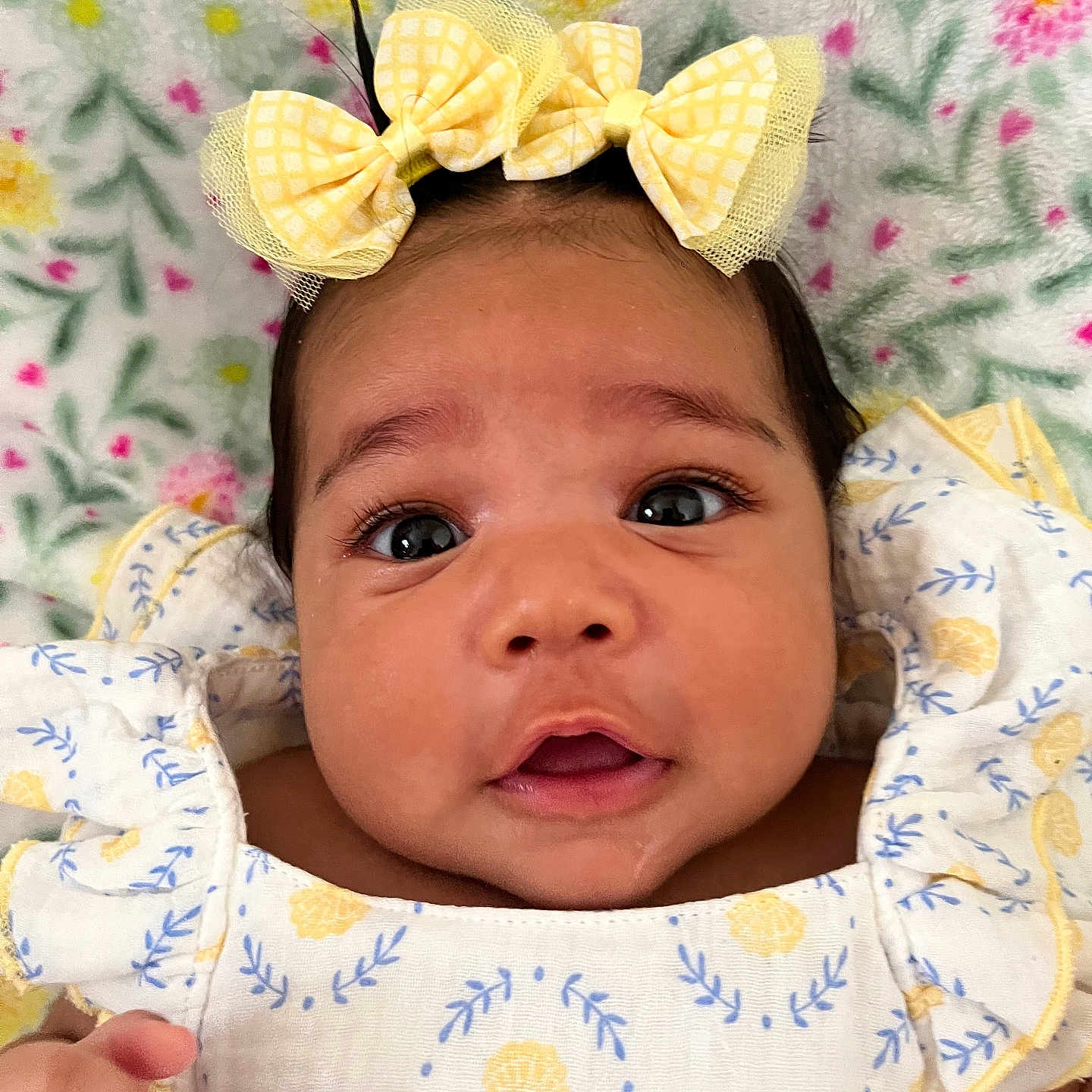 Seraphina