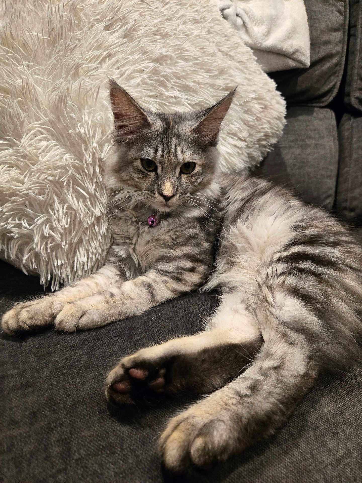 Meeka