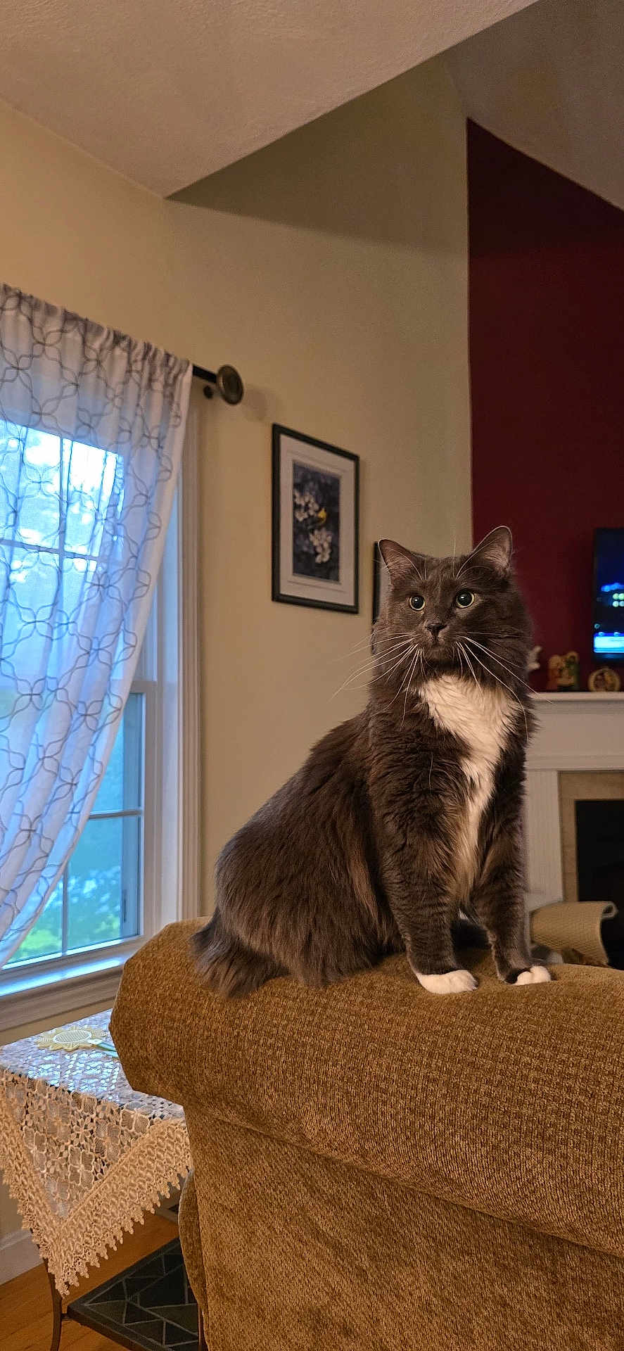 Tallulah