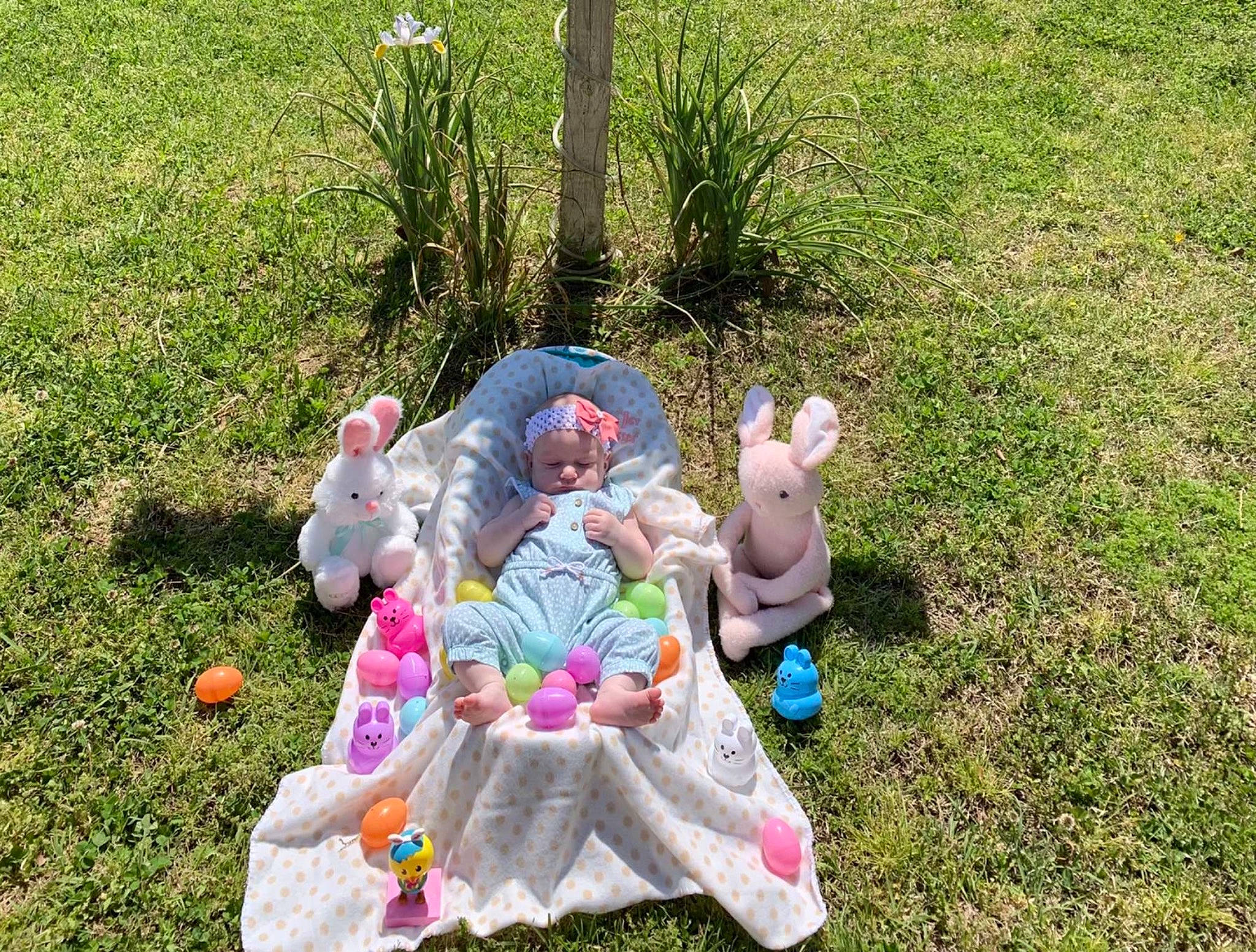 Kaileigh is registered to the contest to win money with this photo: doll, event, fawn, fun, garden, grass, grass_family, grassland, headwear, landscape, lawn, lawn_ornament, leisure, people_in_nature, person, plant, play, recreation, sitting, soil
