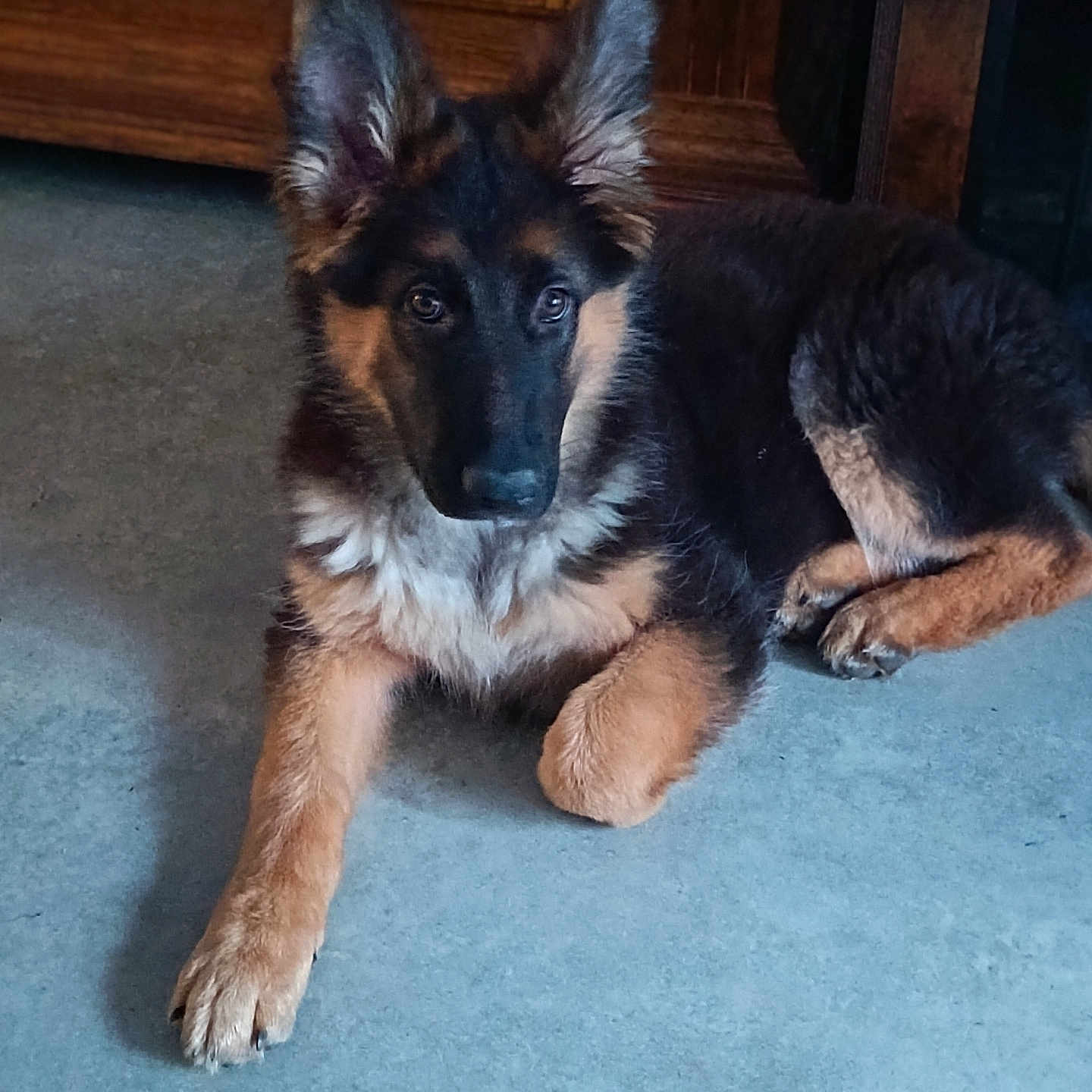 Luna