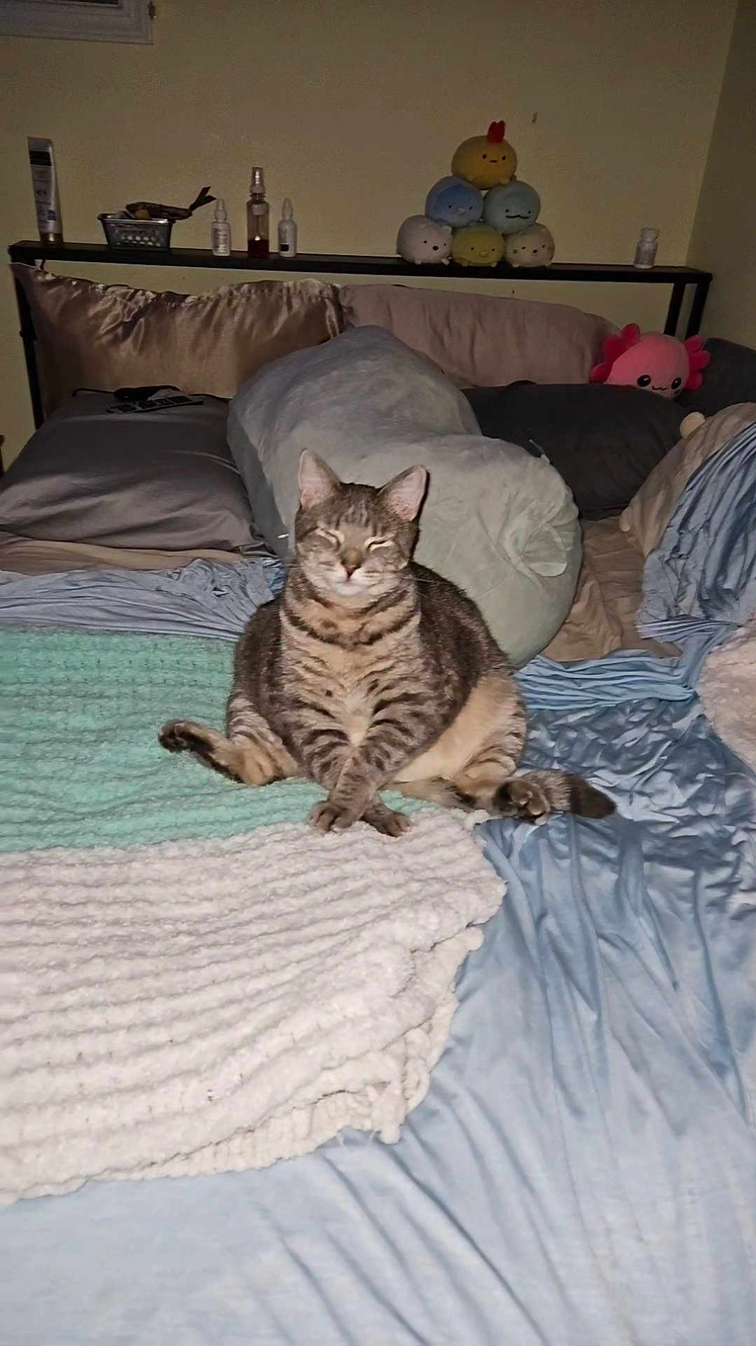 Chip