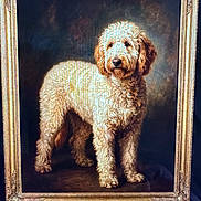 Buddy joined the competition — help win amazing prizes! dog, portrait, painting, ornate_frame, frame, artwork, curly_fur, fur, pet, canvas, realistic_painting, brown_eyes, snout, four_legs, standing, vintage, classical_style, gallery, decor, studio_background