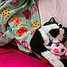 cat, black_and_white, blanket, plush_toy, pink, cute, sleeping, snuggling, soft, cozy, indoor, pet, toy, animal, resting, colorful, feline, comfort, pattern, cute_animal
