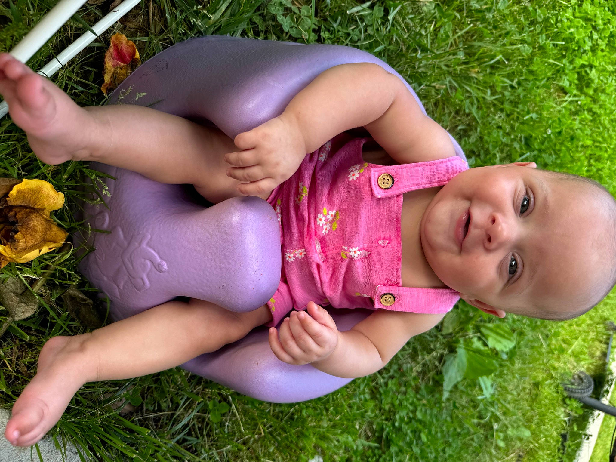 Arya is registered to the contest to win money with this photo: abdomen, baby_toddler_clothing, beauty, botany, brassiere, chest, fun, grass, happy, headgear, human_leg, joy, navel, people_in_nature, person, pink, plant, smile, summer, thigh