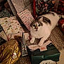 cat, christmas, gifts, wrapping_paper, gift_bags, holiday, festive, indoor, floor, rug, white_cat, tabby, curious, paws, present, package, decorations, blurred_face, cozy, celebration