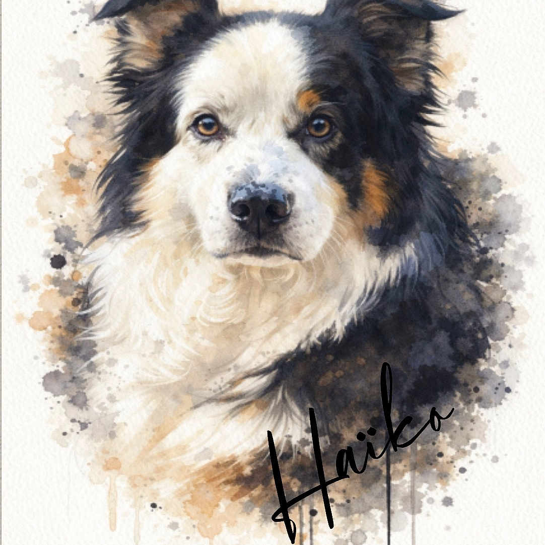 Haïko