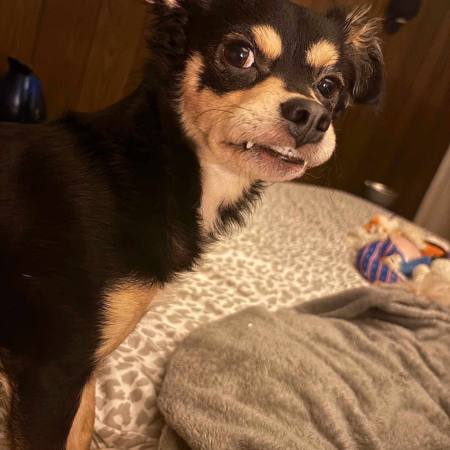 Coco