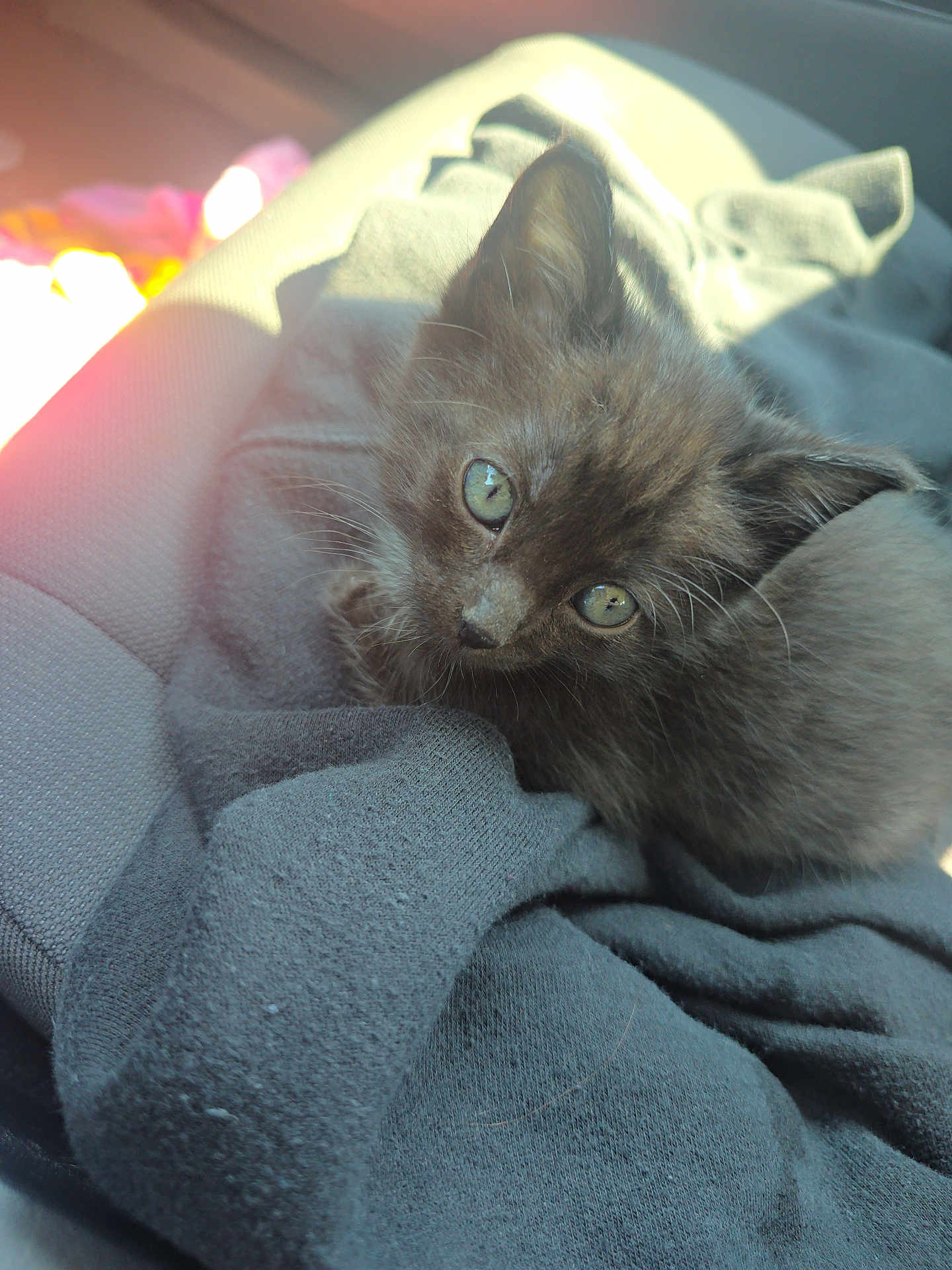 Lilith