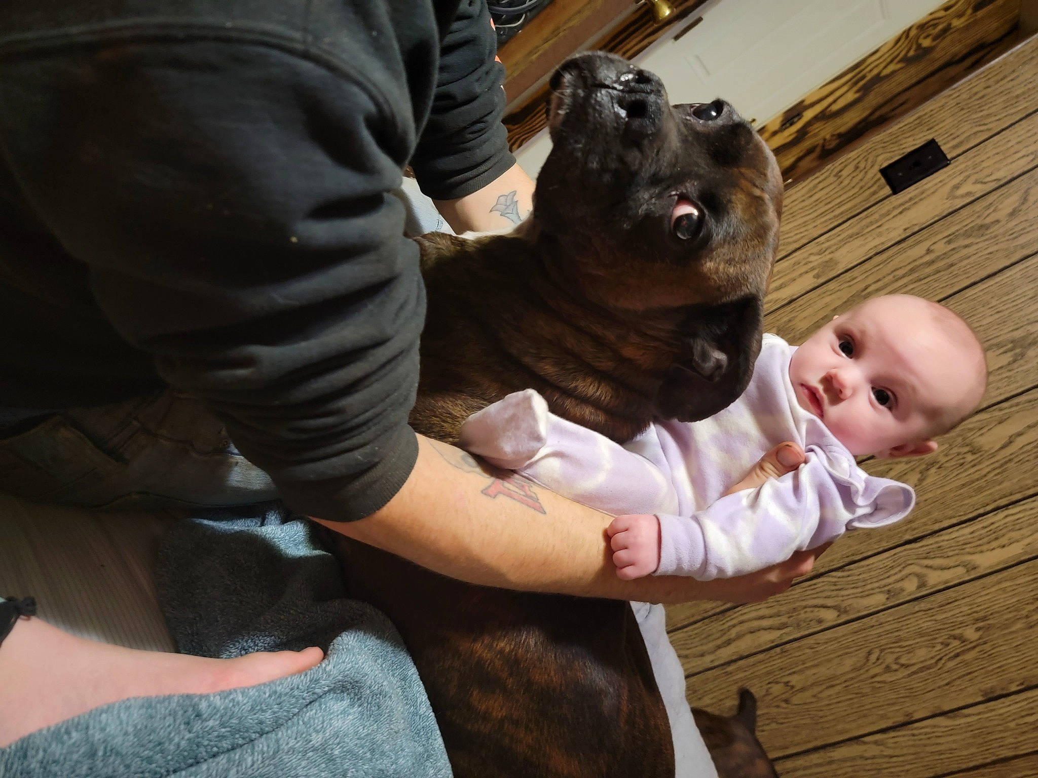 Maddilyn joined the competition — help win amazing prizes! baby, canidae, child, clothing, comfort, companion_dog, dog_breed, elbow, fawn, fur, gesture, grass, guard_dog, happy, person, sitting, smile, sporting_group, toddler, tree