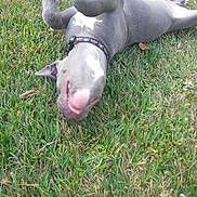 Buddah is registered to the contest to win money with this photo: