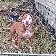 Chula joined the competition — help win amazing prizes!