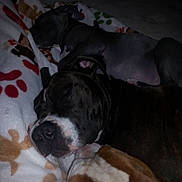 Buddah joined the competition — help win amazing prizes!