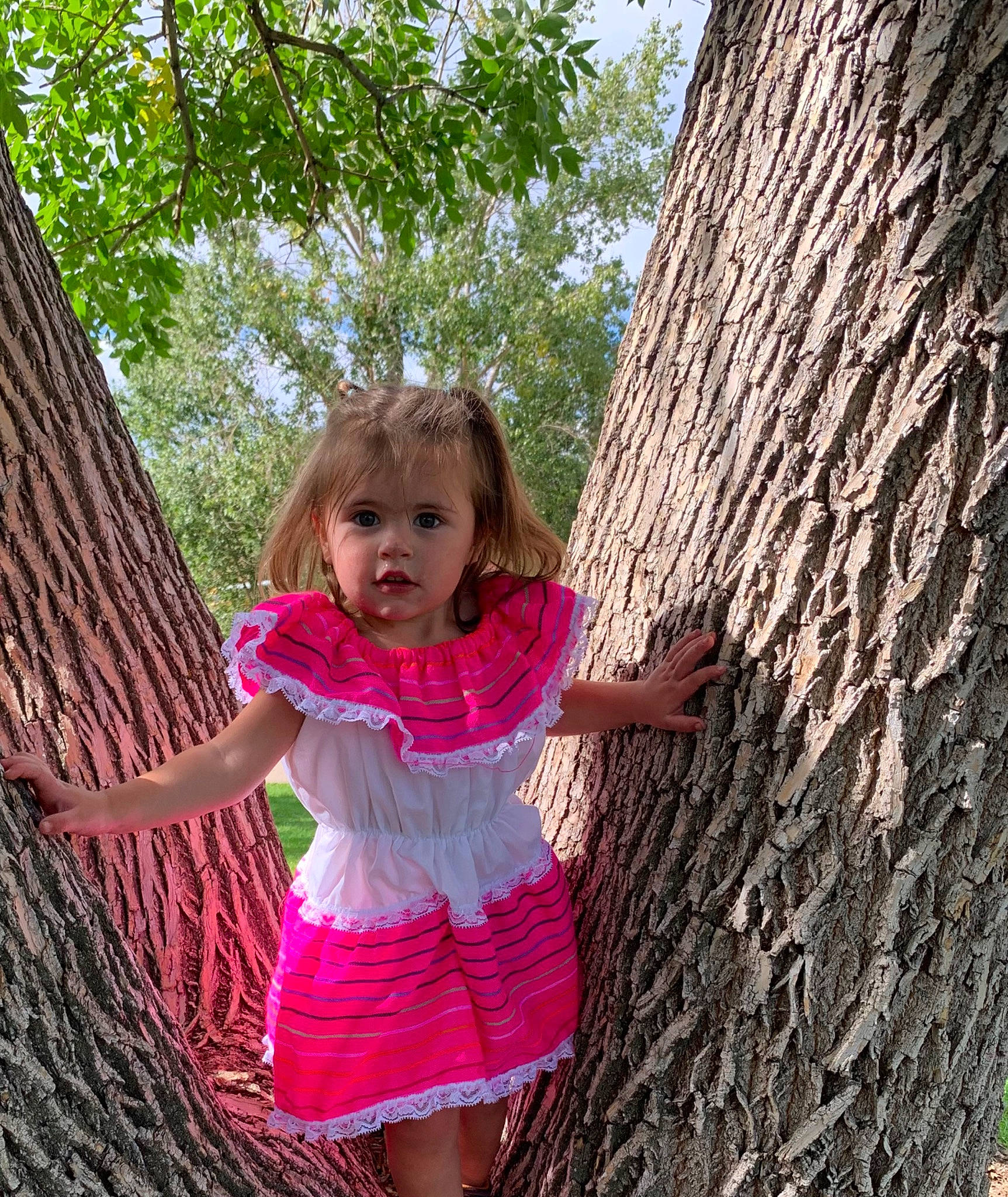 Destiny is registered to the contest to win money with this photo: clothing, eye, facial_expression, grass, hair, happy, human_body, leaf, nature, people_in_nature, person, pink, plant, standing, toddler, tree, trunk, waist, wood, woody_plant