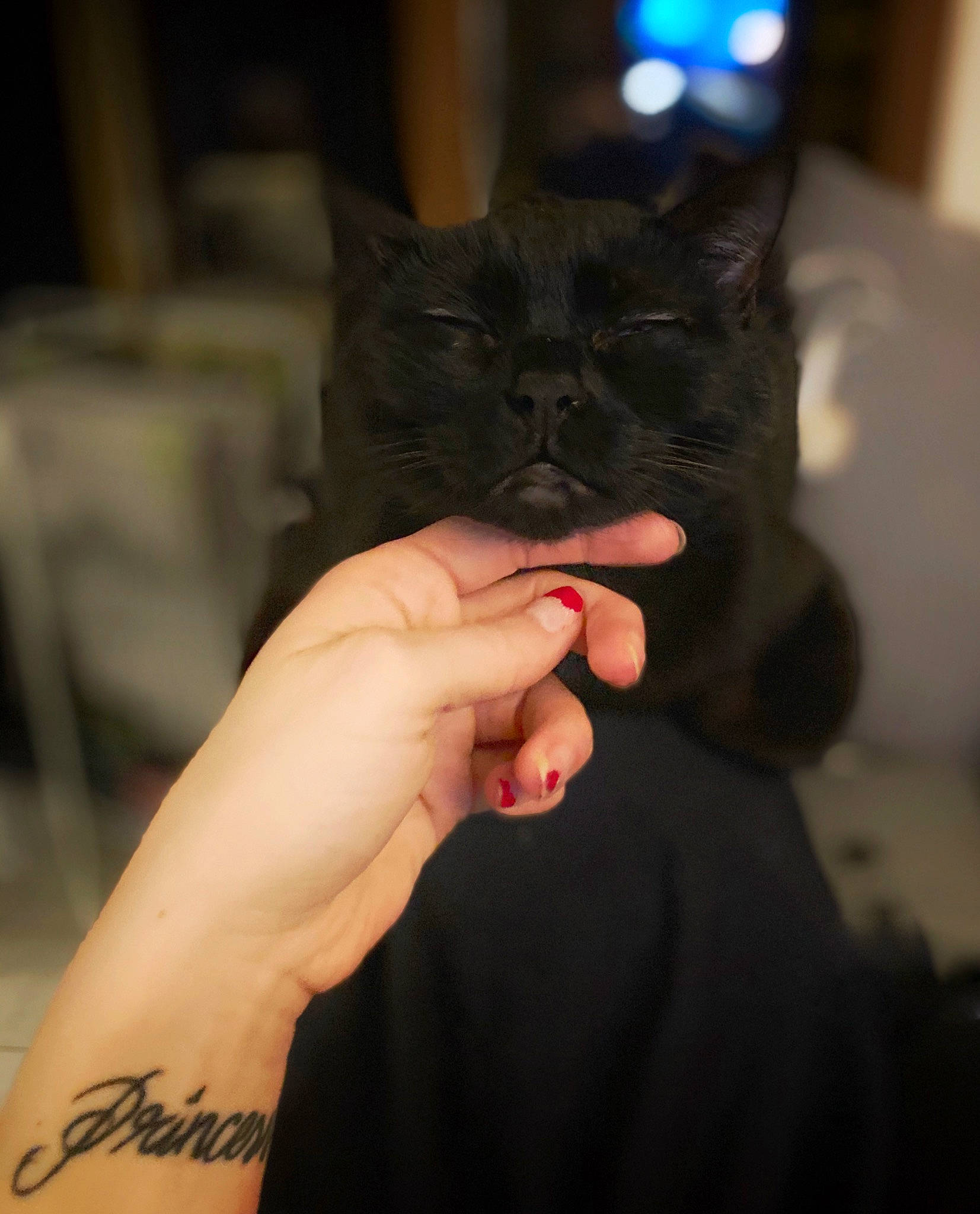 Crapouille participe au concours pour gagner de l'argent avec cette photo : black_cat, carnivore, cat, ear, felidae, finger, gesture, hand, nail, small_to_medium_sized_cats, tattoo, thumb, whiskers, wrist