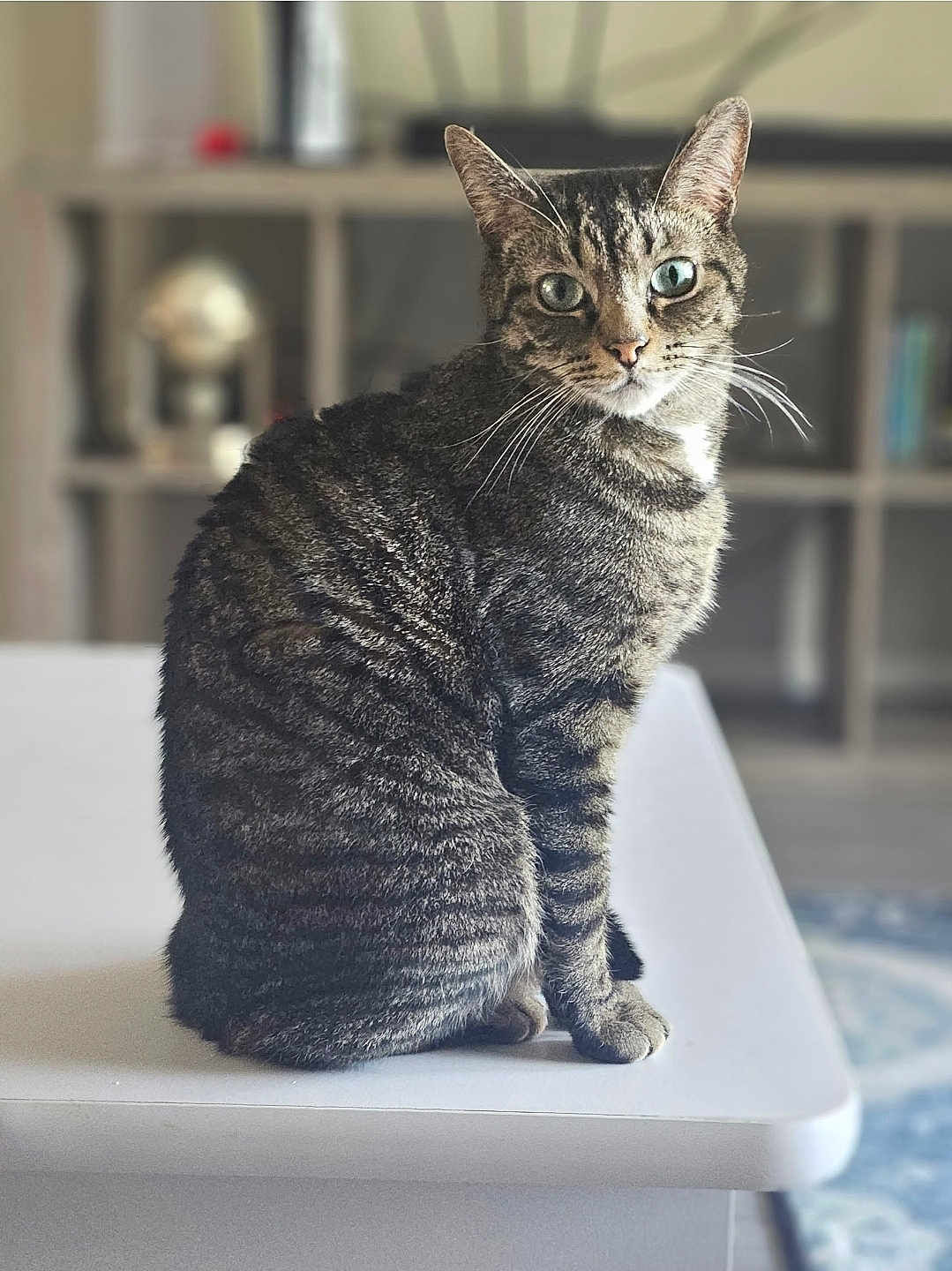 Buster