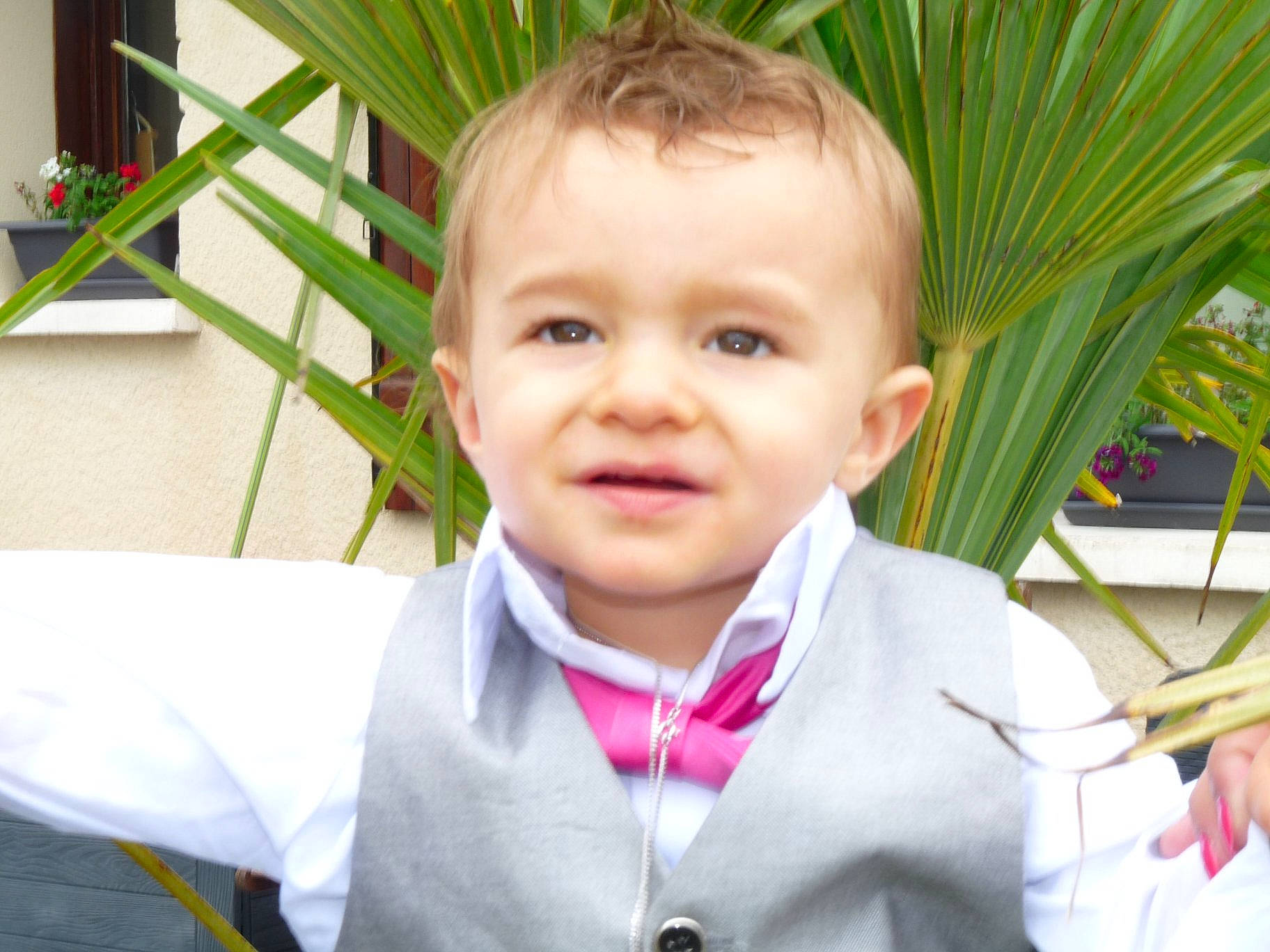 Nolan participe au concours pour gagner de l'argent avec cette photo : baby, child, face, facial_expression, happy, person, plant, skin, smile, toddler