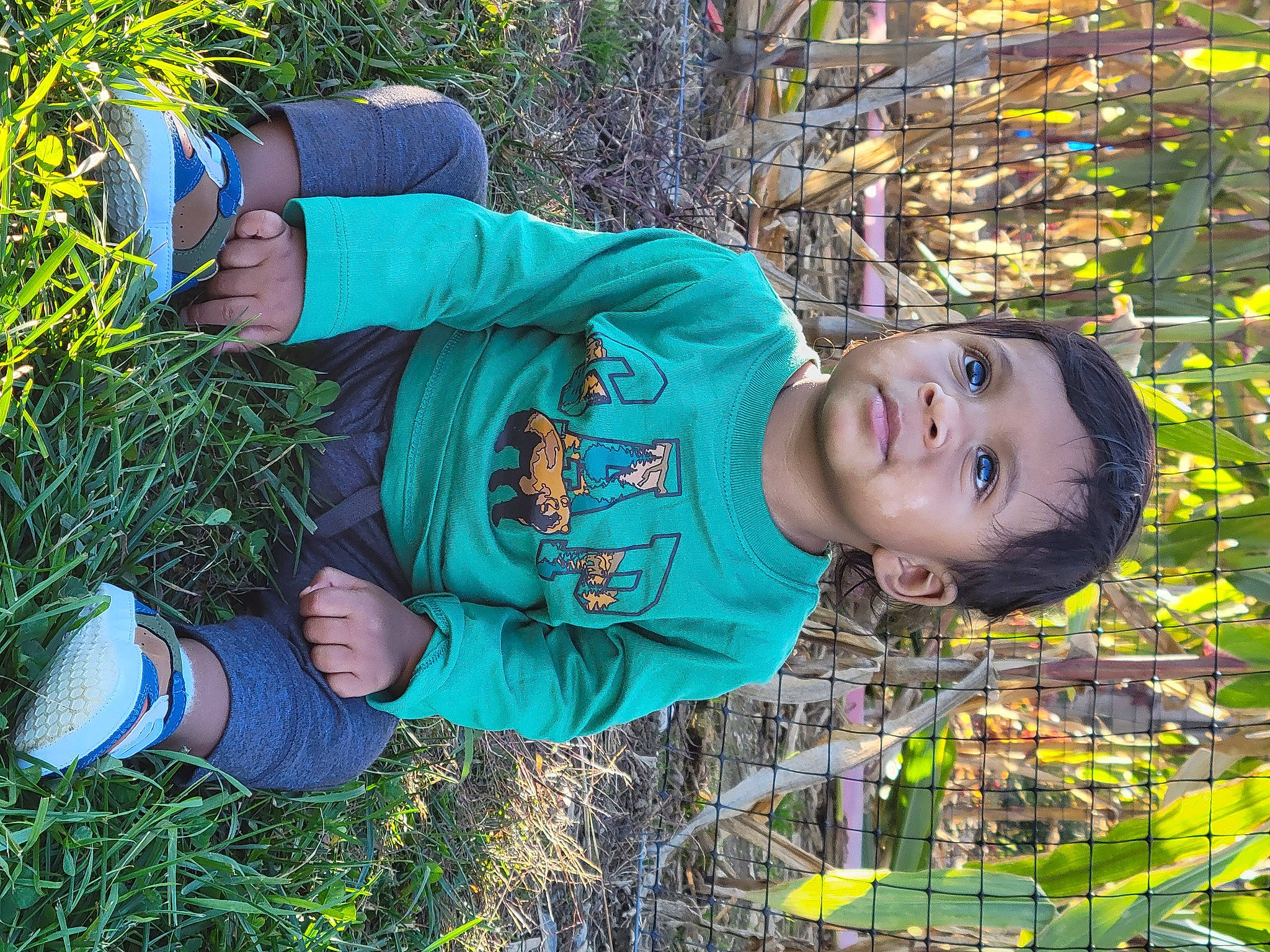 Franco joined the competition — help win amazing prizes! adaptation, blue, botany, cool, electric_blue, fun, grass, green, groundcover, happy, leaf, leisure, nature, people_in_nature, person, plant, smile, toddler, tree, woody_plant