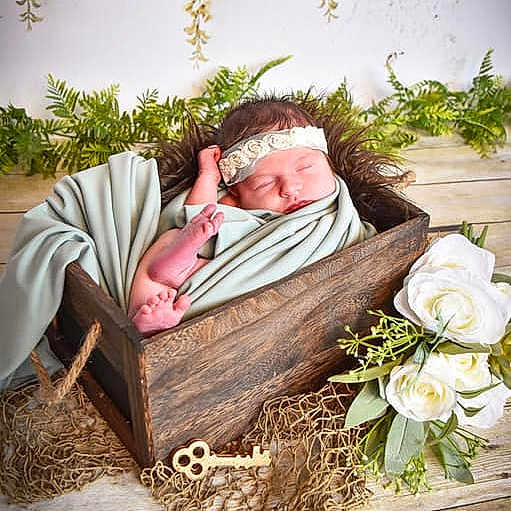 Aylah is registered to the contest to win money with this photo: floral_design, floristry, flower, flower_arranging, nap, photograph, photography, plant, sitting, sleep, stock_photography