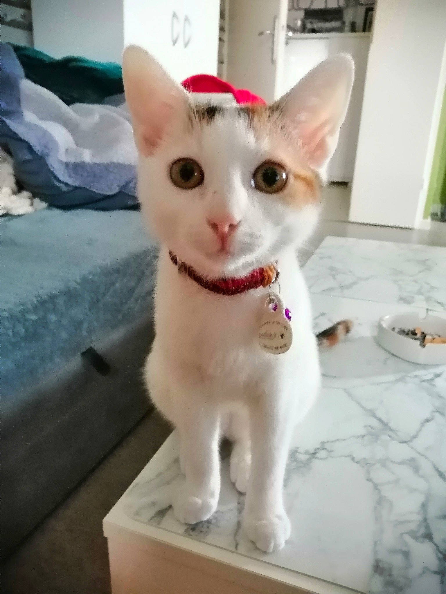 Kyra