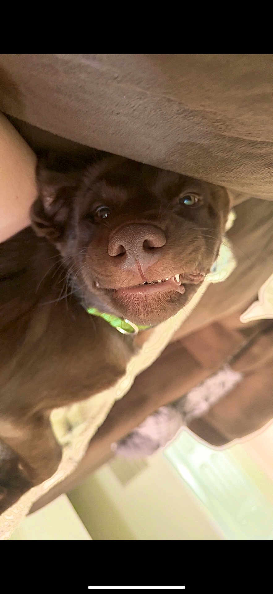 Gunner Boglin