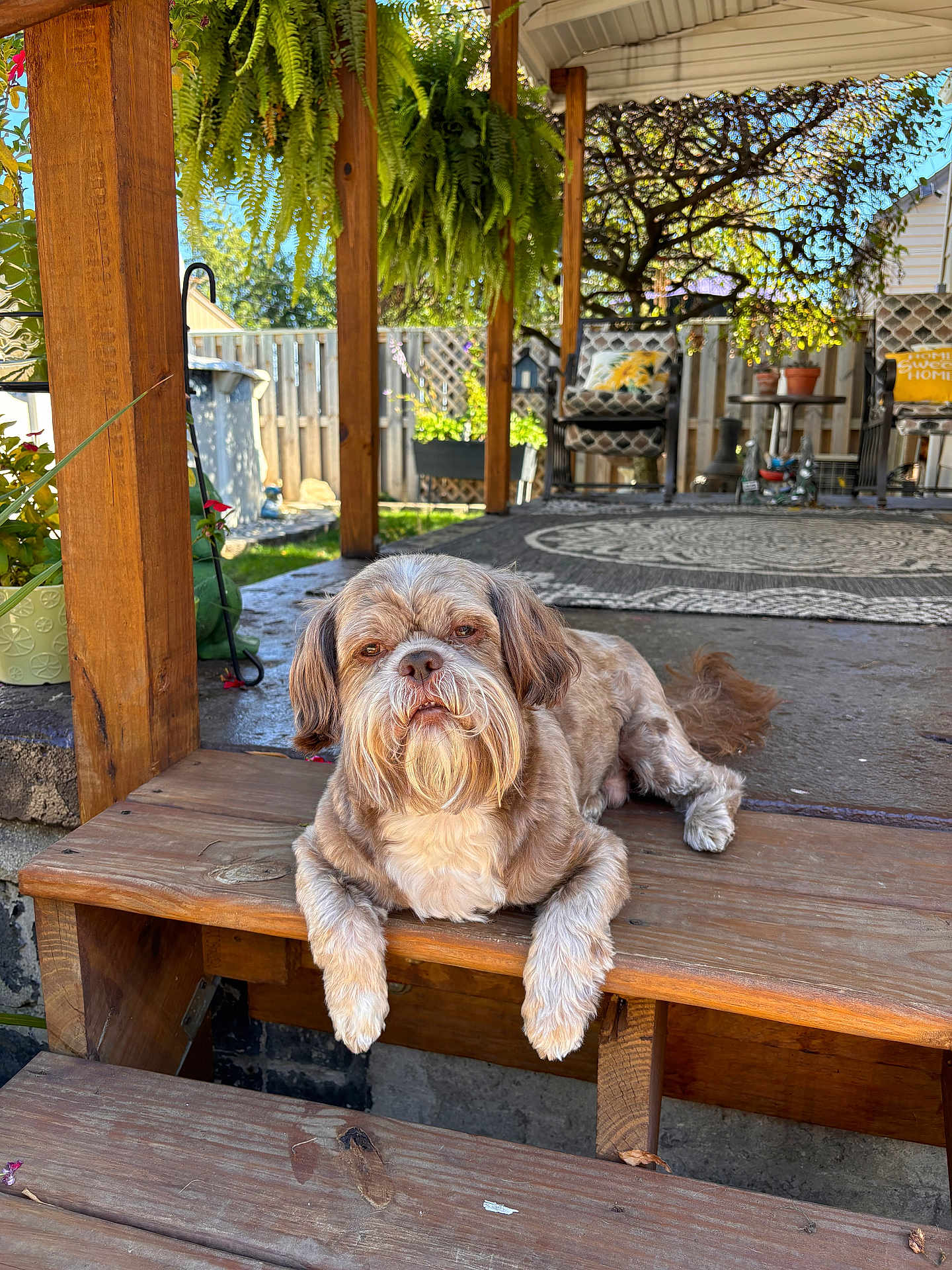 Archie